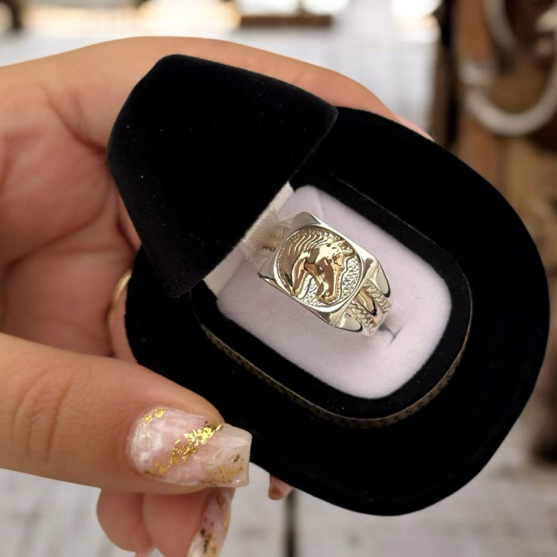 ANILLO CABALLO