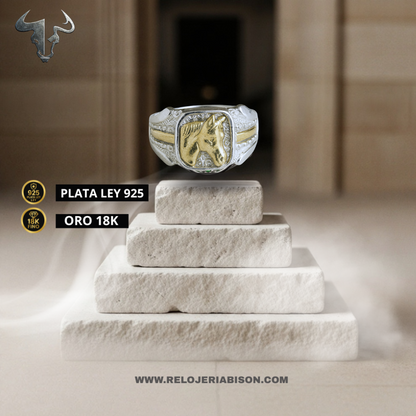 ANILLO CABALLO