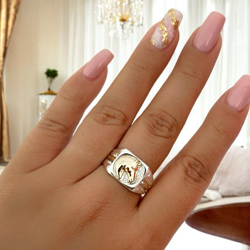ANILLO CABALLO
