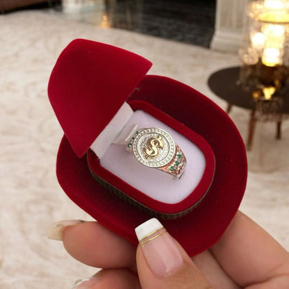 Anillo en plata Dolar